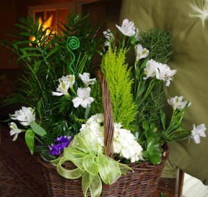 Winter Woods Dish Garden Flower Bouquet