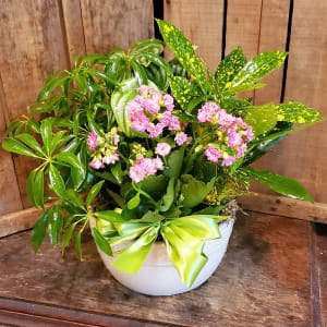 Medium Dish Garden Flower Bouquet