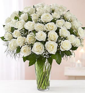 Dozen Beautiful White Roses Arranged Flower Bouquet