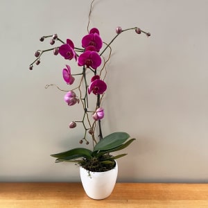 Large Purple Orchid Flower Bouquet