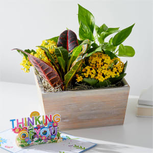 Sunshine & Joy Garden and Thinking of you Lovepop® Pop-Up Card Flower Bouquet