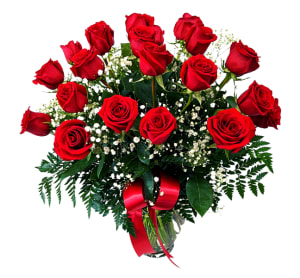 Fiesta Classic 2 Dozen Long Stem Red Roses R-1766 Flower Bouquet