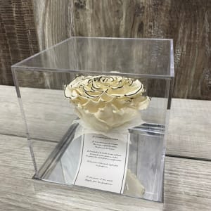 Single White Forever Rose in Acrylic Box Flower Bouquet