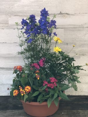 Color Bowl Planter Flower Bouquet