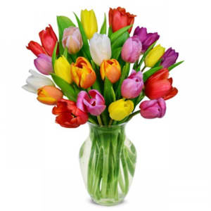 Think Spring, 30 Mixed color Tulips EBF-105 Flower Bouquet