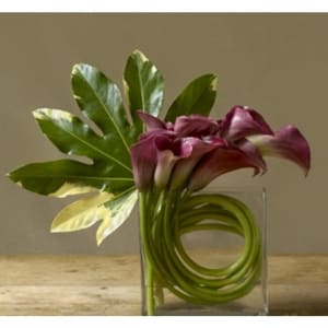 Zen Call lily EBF-362 Flower Bouquet