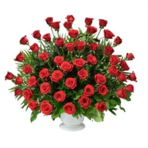 50 RED ROSE'S SPRAY  EBF-111 Flower Bouquet