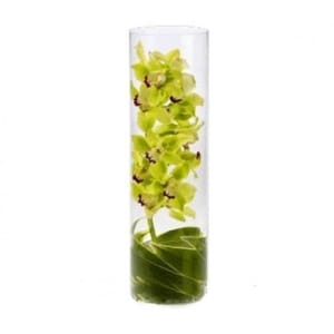 Winding Orchid  EBF-355 Flower Bouquet