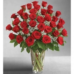 3 Dz Red Roses EBF-236 Flower Bouquet