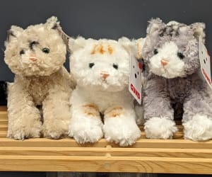 Kittens Flower Arrangement Kittens Flower Bouquet