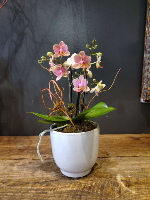 Small Orchid Flower Bouquet