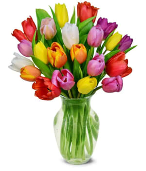 Rainbow Tulip Bouquet Flower Bouquet