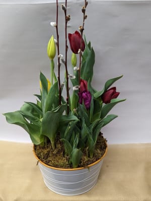 Spring Bulb Planter Flower Bouquet