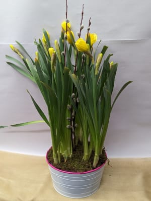 Spring Bulb Planter Flower Bouquet