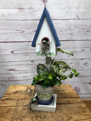 Birdhouse Planter With Small Plant