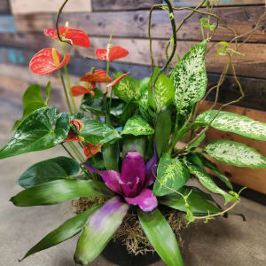 Tropic Garden - Plants & Botanicals Flower Bouquet