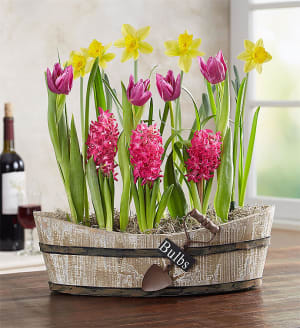 Springtime Vineyard Bulb Garden Flower Bouquet