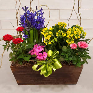 Style Elements Dish Garden, Spring Flower Bouquet