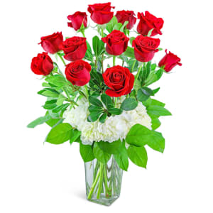 One Dozen Red Roses with Hydrangea Flower Bouquet