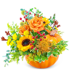 Pumpkin in Radiance Flower Bouquet