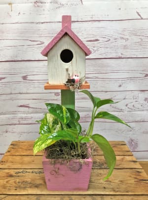 Bright Birdhouse Planter With Small Plant Flower Bouquet