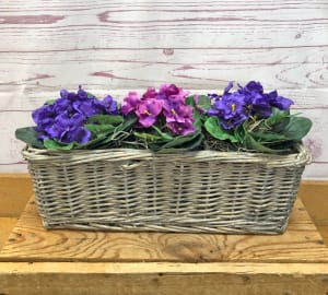 Silk (Artificial) African Violet Basket Flower Bouquet