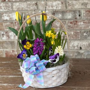 Spring Bulb Planters Flower Bouquet