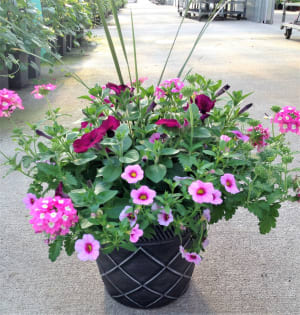 Blooming Garcia Pot
