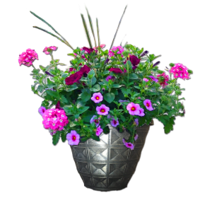 Blooming Garcia Pot