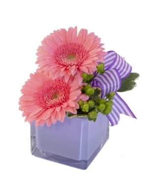 PETITE GERBERAS Flower Bouquet