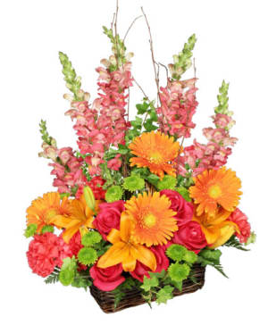 BRILLIANT BASKET Flower Bouquet