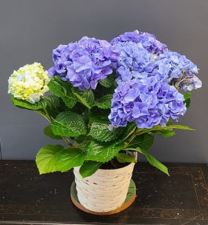 Hydrangea Flower Bouquet