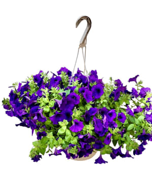 Hanging Basket Flower Bouquet