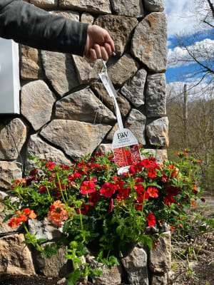 Outdoor designer Hanging Basket