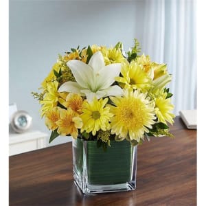 Healing Tears Yellow & White Flower Bouquet