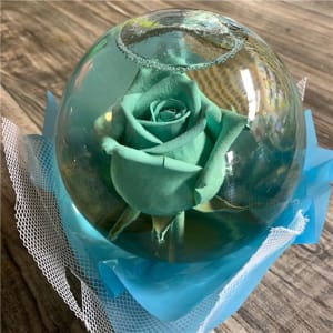Blue - Green Rose Globe W/Gift Bag Flower Bouquet