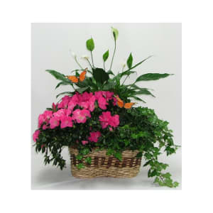 Large Three Plant Garden Basket Flower Bouquet