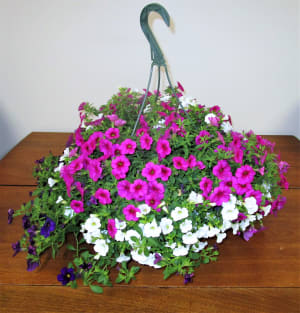 HANGING BASKET