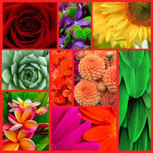Summer Heat Designer's Choice Flower Bouquet