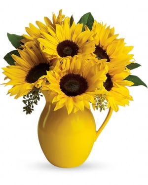 Teleflora's Sunny Day Pitcher of Sunflowers Flower Bouquet