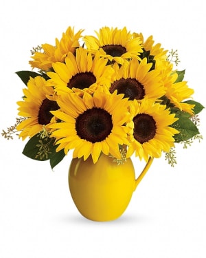 Teleflora's Sunny Day Pitcher of Sunflowers Flower Bouquet