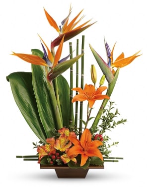 Teleflora's Exotic Grace Flower Bouquet