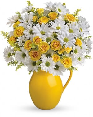 Teleflora's Sunny Day Pitcher of Daisies Flower Bouquet