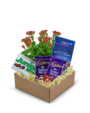 Boy Meets World Basket Flower Bouquet