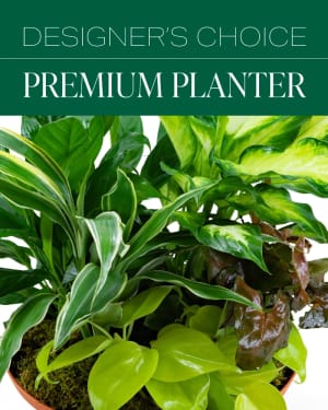 Designer's Choice Premium Planter Flower Bouquet