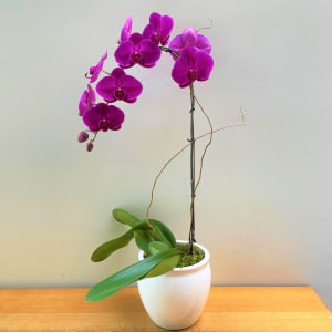 Large Purple Orchid Flower Bouquet