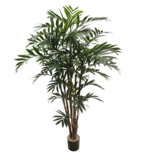 P1796 - 5.5' PTD NEW BAMBOO PALM Flower Bouquet