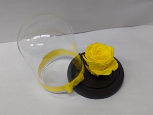 Everlasting Beauty Flower Arrangement Everlasting Beauty Flower Bouquet