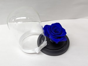 Everlasting Beauty Flower Arrangement Everlasting Beauty Flower Bouquet