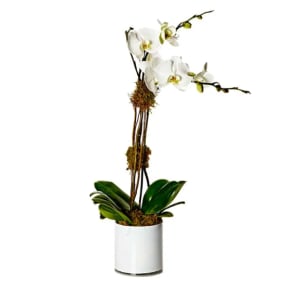 Double-Stem White Orchid Flower Bouquet